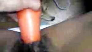 ගැබිනි කළුවර කයිලා අයිවී තුන් දෙනෙකුට කෙලවයි