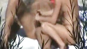 කුකුළන් දෙදෙනෙකු සමඟ සෙල්ලම් කරන පරිණත ඇදගෙන යන මුඩුක්කු