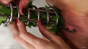 සාදයක ​​සිටින යෞවනයන් දුසිමකට වඩා